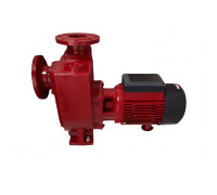
                                Насос для перекачки дизельного топлива FRASCO PUMP FP-800В (до 800 л/мин 4000 Вт)
