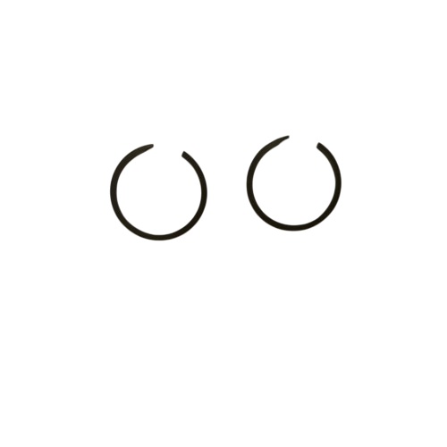 Стопорное кольцо ротора насоса Corken FD-150